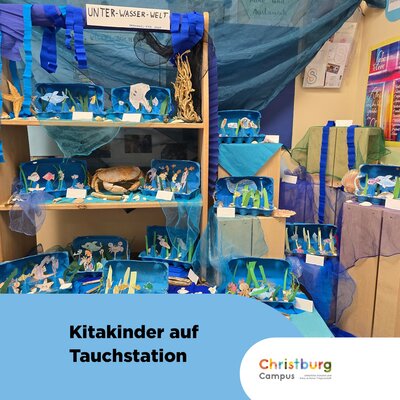 🏖🐠 Vom Strand in die Kita – unser Projekt "Unterwasserwelt"
Ein Mitbringsel aus dem Urlaub hat die Fantasie entfacht:...